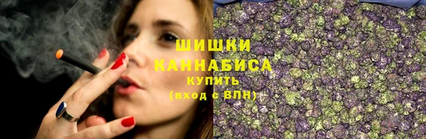сатива Горно-Алтайск