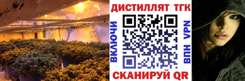 ТГК гашишное масло  Купить закладки  Мамоново 